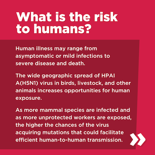 What is the risk to humans?