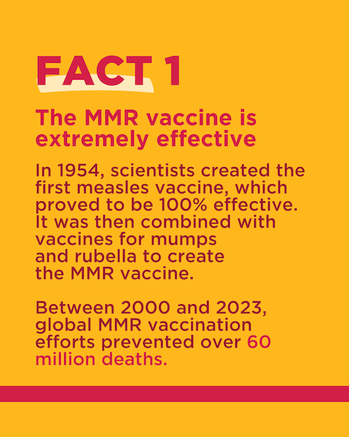 Fact 1: The MMR vaccine is extremely effective