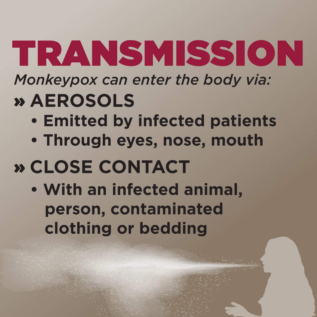 Graphic: About monkeypox transmission