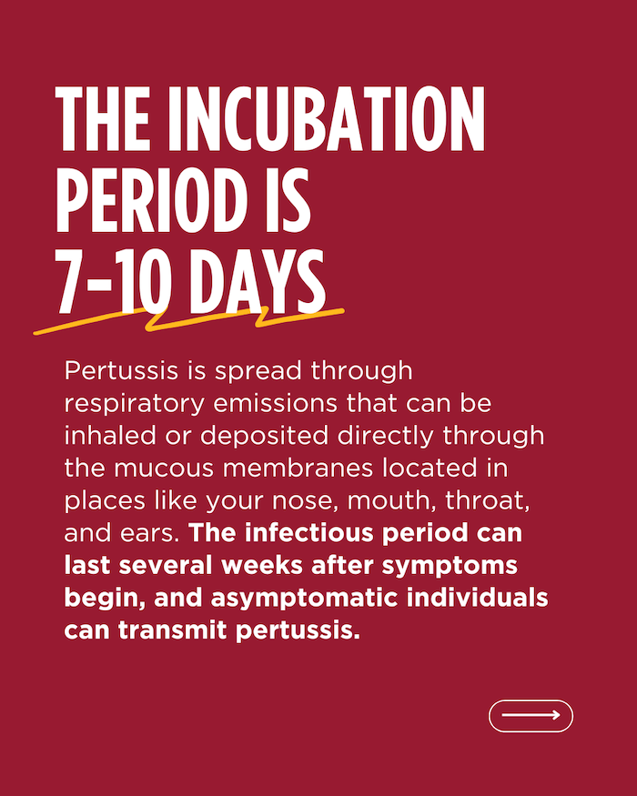 Graphic: The incubation period is 7-10 days