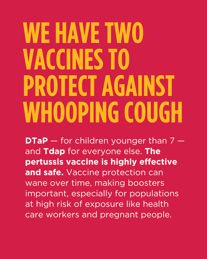 Graphic: We have two vaccines to protect against whooping cough