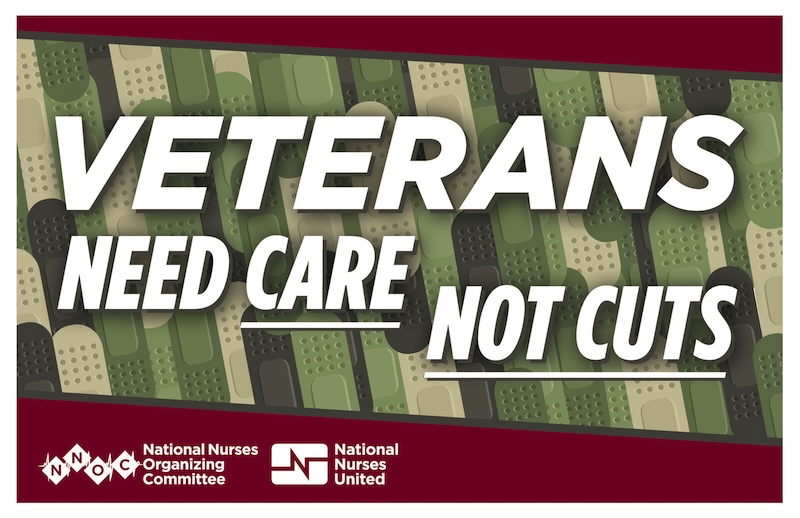 Signs: "Veterans Need Care Not Cuts"