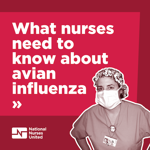Graphic: What nures need to know about avian influenze