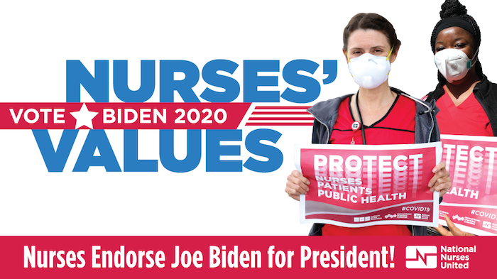 Graphic "Vote Nurses Values: Biden 2020"