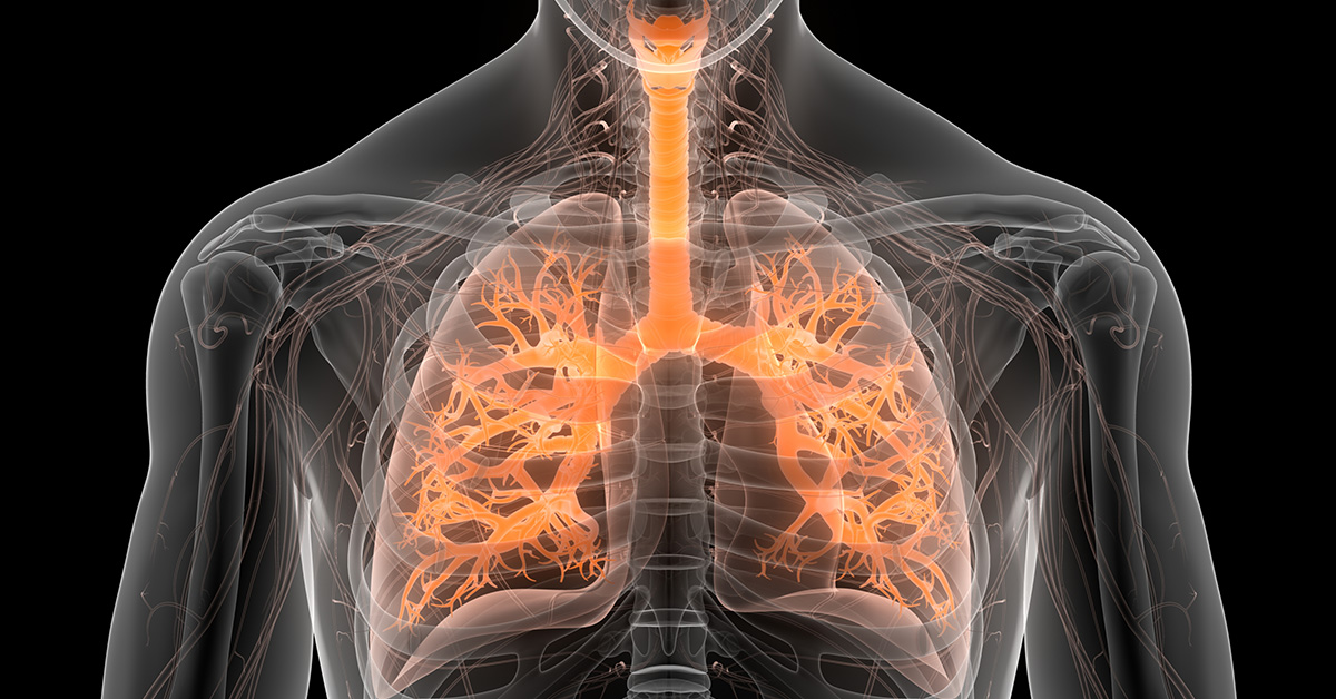 Graphic of respiratory system