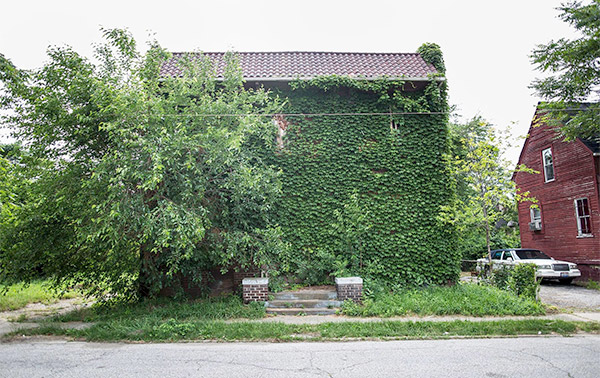 Cleveland house lost to nature