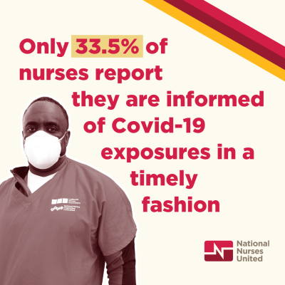 NNU Covid Survey #8