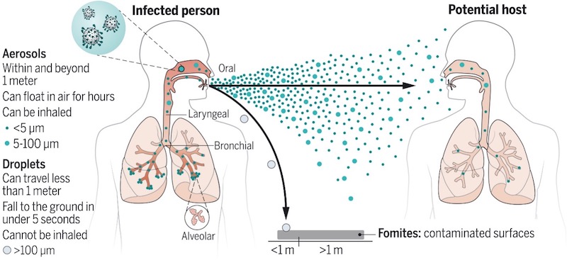 Graphic about monkeypox transmission