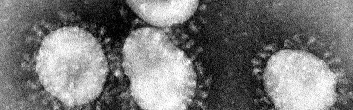 Coronavirus 