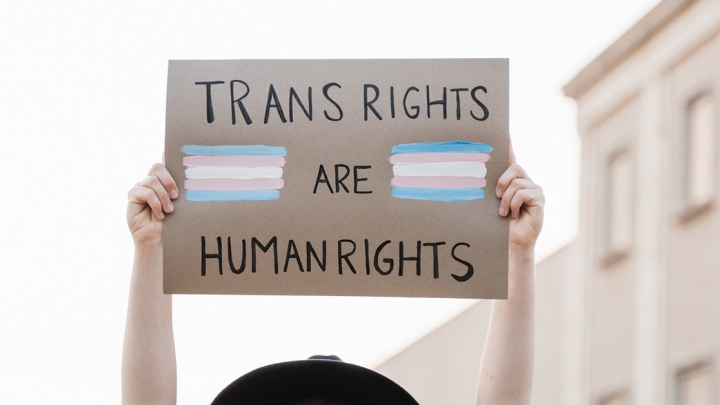Hands of person holding sign "Trans Rights are Human Rights" with transgender flags paint on