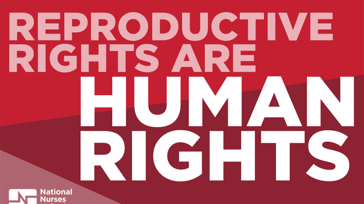 Graphic "Reproductive Rights are Human Rights"
