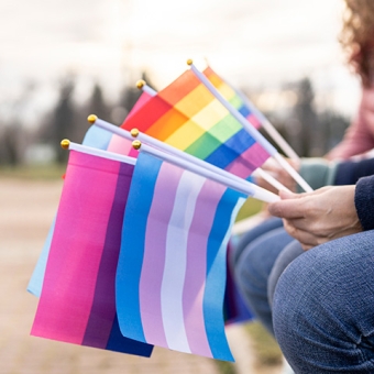 Hands holding various pride flags