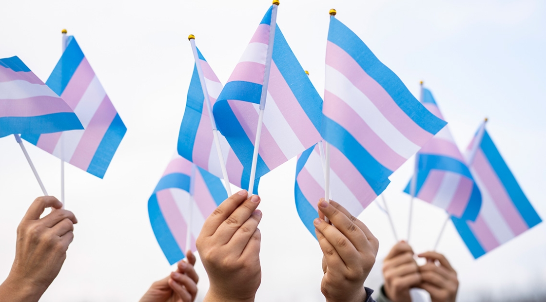 Hands holding trans rights flag