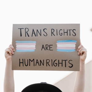 Hands of person holding sign "Trans Rights are Human Rights" with transgender flags paint on