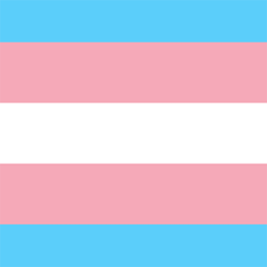 Trans Pride Flag