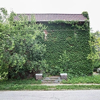 Cleveland house lost to nature