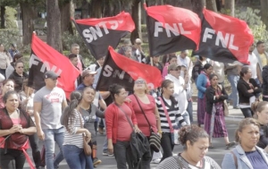 Guatemalan health professionals marching with flags