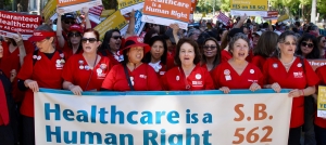 RNs and activists from across the state rally outside the State Capitol