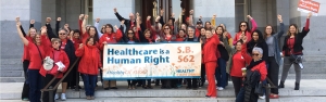 Nurses for SB562 - Jan 7 Select Committee Hearing