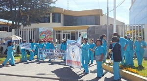 Nurses demand professionalization