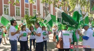 Enough midwives in the Virgen del Rocio in Seville?