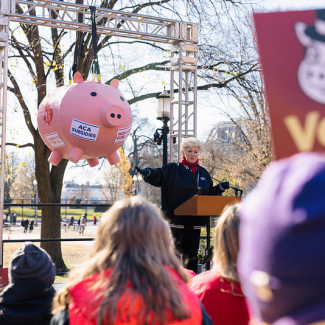 Nurses rally in support of ACA subsidies in DC