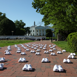 The whitehouse