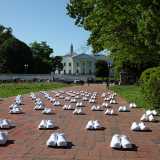 The whitehouse
